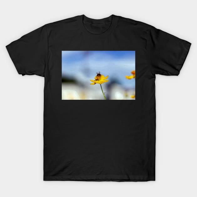 bee on a flower T-Shirt by rickylabellevie